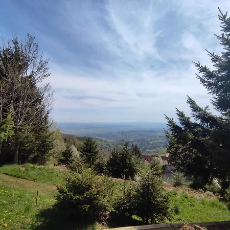 Apartamento Apartma Pohorc - Macesen *