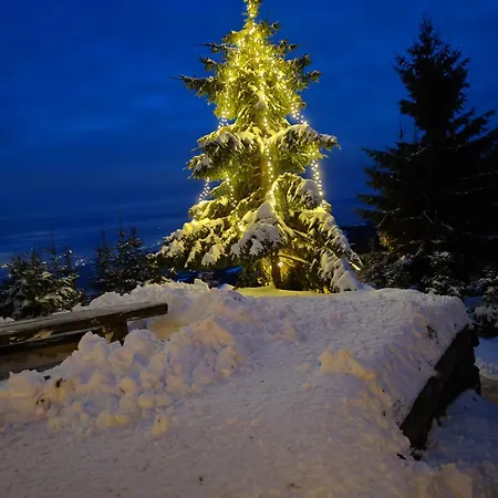 Apartma Pohorc - Macesen *