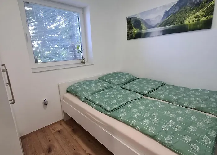 Apartma Pohorc - Macesen Hocko Pohorje