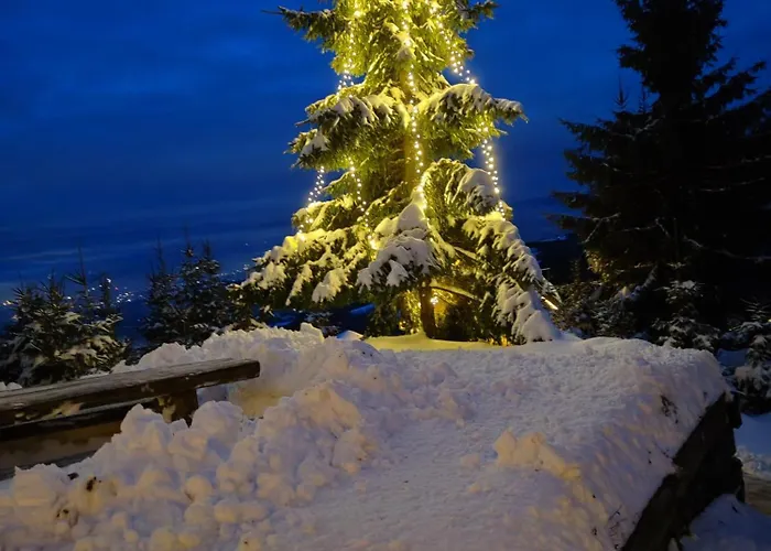 Apartma Pohorc - Macesen *